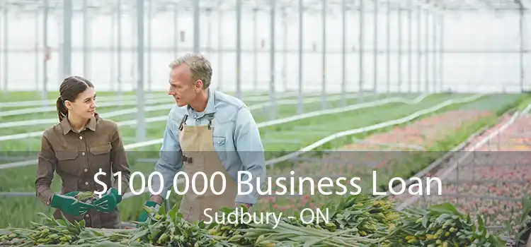$100,000 Business Loan Sudbury - ON