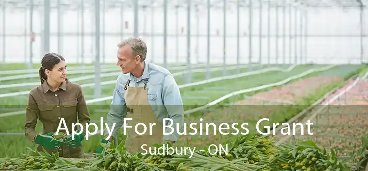 Apply For Business Grant Sudbury - ON